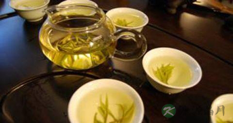 哪些茶叶适合冷泡