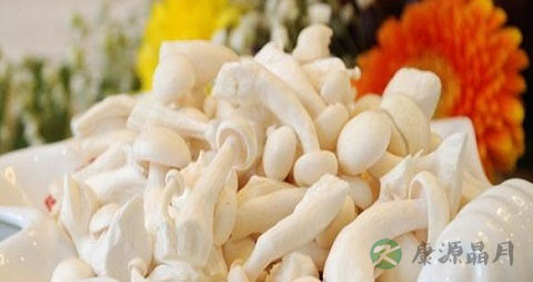 炒白玉菇用焯水吗