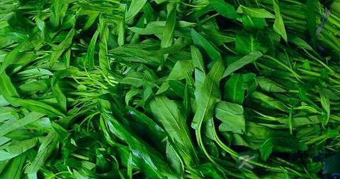 空心菜怎么切