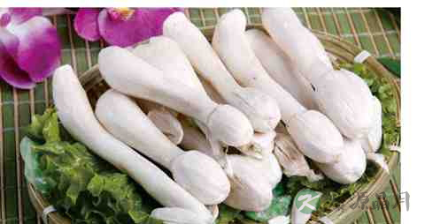 鸡腿菇要煮多久