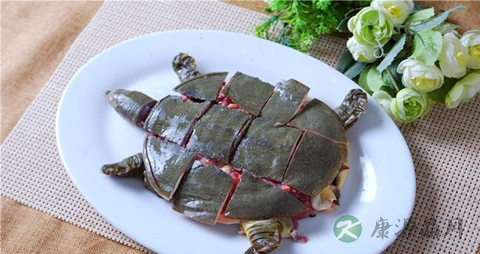 水鱼的吃法_哪些人不能吃水鱼