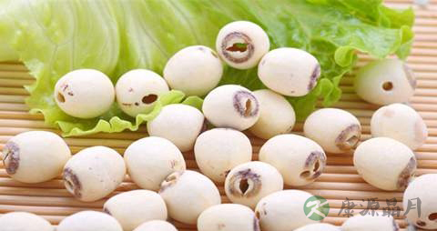 莲子的营养价值_吃莲子的好处