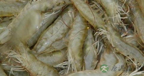 怎样制作虾丸