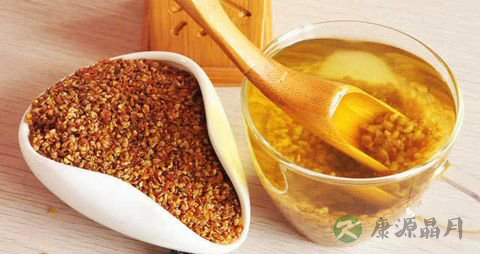 苦荞茶怎么喝