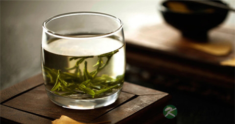 西湖龙井是绿茶吗