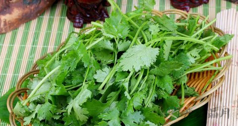 小叶香菜的营养价值_吃小叶香菜的好处