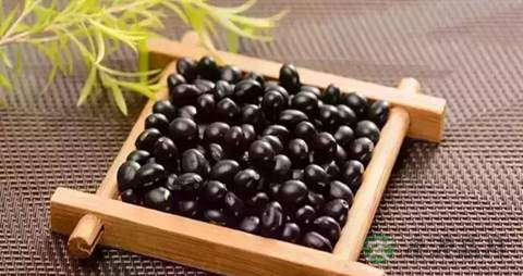 黑豆的营养价值_吃黑豆的好处