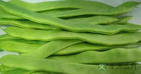 扁豆的营养价值_吃扁豆的好处