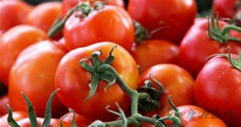 西红柿怎么保存