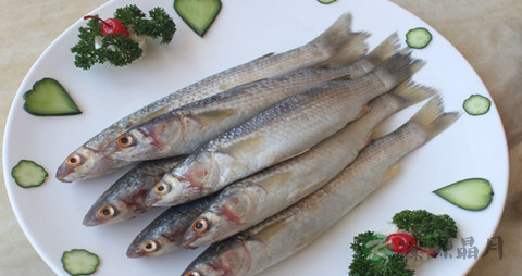 梭鱼的吃法_哪些人不能吃梭鱼 梭鱼的吃法_哪些人不能吃梭鱼