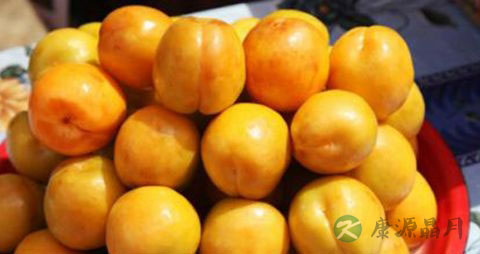 黄梅是什么季节的