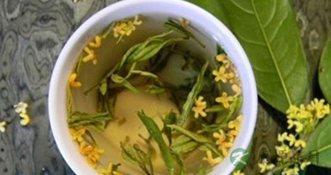 桂花的吃法_哪些人不能吃桂花