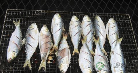 鱼怎么做才入味