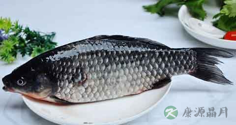 海附鱼的营养价值_吃海附鱼的好处