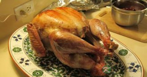 火鸡的营养价值_吃火鸡的好处