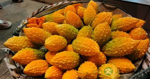 金铃子的吃法_哪些人不能吃金铃子