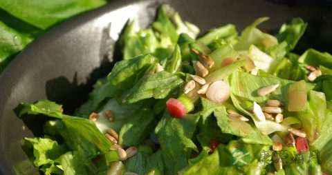 手撕包菜怎么炒好吃