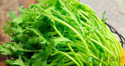 茼蒿的营养价值_吃茼蒿的好处