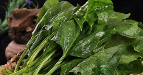 菠菜的营养价值_吃菠菜的好处