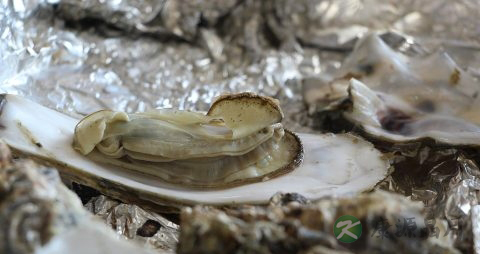 牡蛎汤的做法