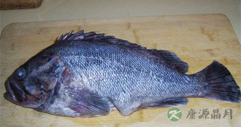 海黑鱼的吃法_哪些人不能吃海黑鱼