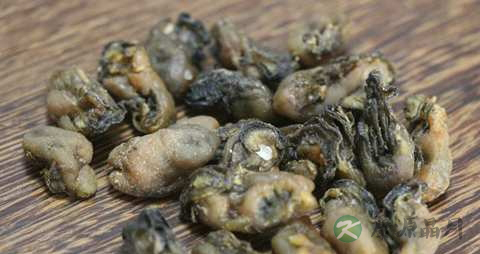 海蛎干的营养价值_吃海蛎干的好处
