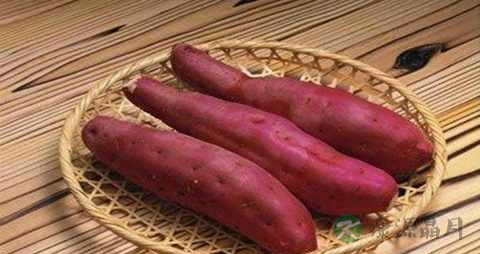 红薯的营养价值_吃红薯的好处