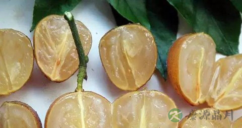 黄皮果的营养价值_吃黄皮果的好处