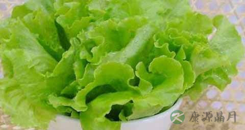 球生菜是不是卷心菜