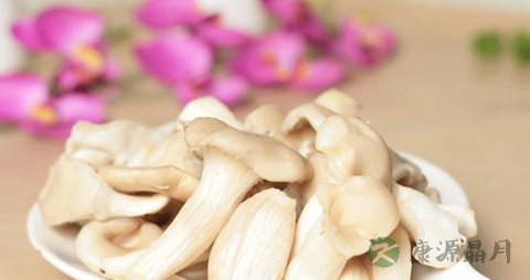 平菇的吃法_哪些人不能吃平菇