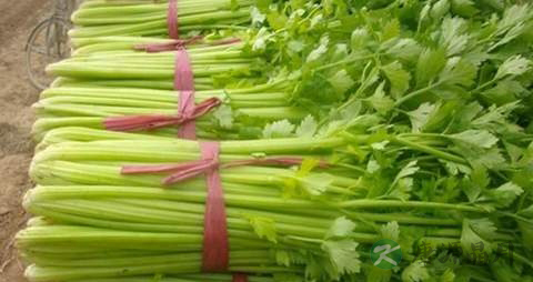 芹菜的营养价值_吃芹菜的好处