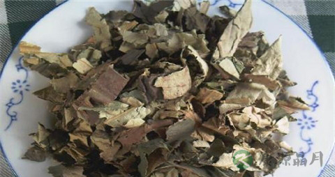 干冬瓜皮怎么泡水