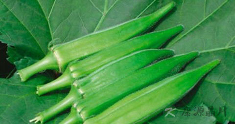 黄秋葵的吃法_哪些人不能吃黄秋葵 黄秋葵的吃法_哪些人不能吃黄秋葵