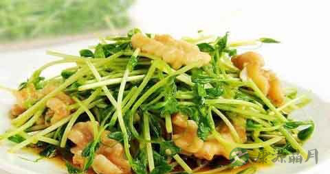 豌豆苗的吃法_哪些人不能吃豌豆苗