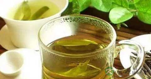 苦丁茶伤肾吗