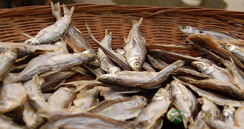 鱼片的营养价值_吃鱼片的好处 鱼片的营养价值_吃鱼片的好处