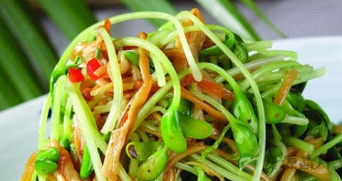 青豆芽的吃法_哪些人不能吃青豆芽