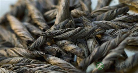 苦丁茶属于什么茶类