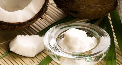 椰子油和橄榄油哪个好