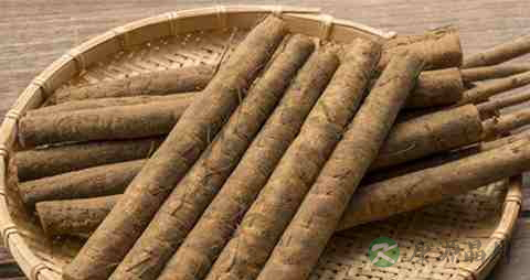 牛蒡的营养价值_吃牛蒡的好处