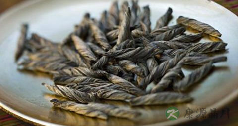 苦丁茶的正确泡法