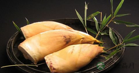 新鲜竹笋怎么保存