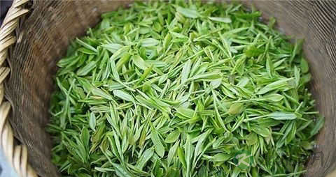 西湖龙井是绿茶吗