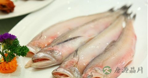 豆腐鱼的营养价值_吃豆腐鱼的好处