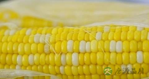 甜玉米的营养价值_吃甜玉米的好处