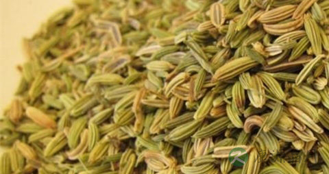 小茴香的吃法_哪些人不能吃小茴香