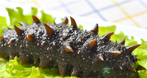 如何去除海参的涩味