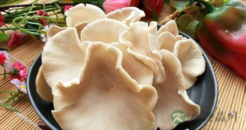 鲍鱼菇的营养价值_吃鲍鱼菇的好处