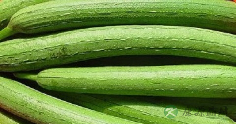 丝瓜为什么有苦味