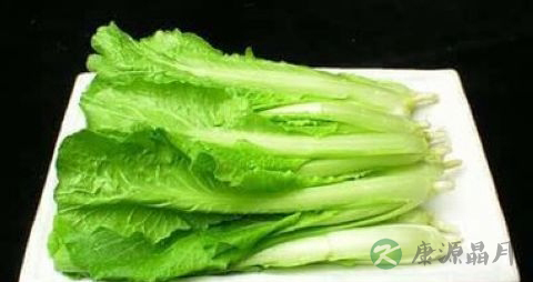 绿叶菜都含草酸吗
